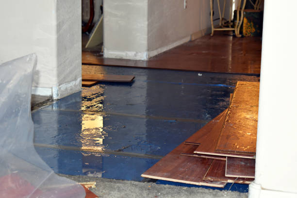 Professional Burst Pipe Cleanup technician working in Wellesley Hills, MA
